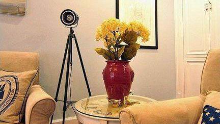 客厅装饰花瓶怎么摆客厅花瓶摆放风水禁忌
