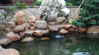 别墅花园修鱼池的风水考虑